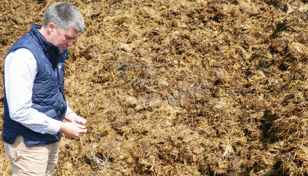 A man inspects a muck pile on the farm